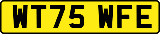 WT75WFE