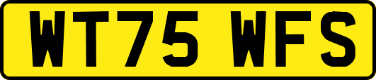 WT75WFS