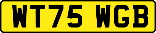 WT75WGB