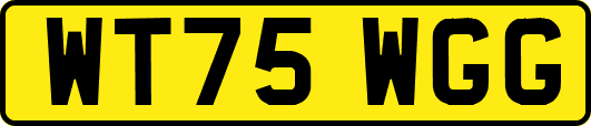 WT75WGG