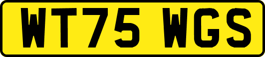 WT75WGS