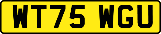 WT75WGU