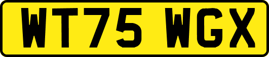 WT75WGX