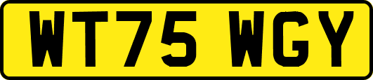 WT75WGY