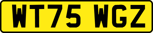 WT75WGZ