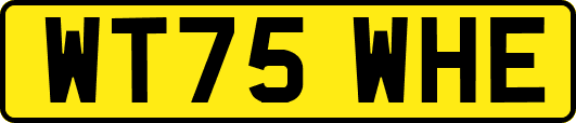 WT75WHE