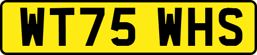 WT75WHS