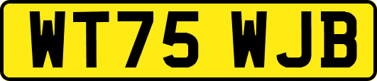WT75WJB