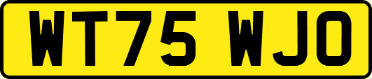 WT75WJO