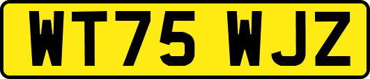 WT75WJZ