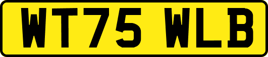 WT75WLB