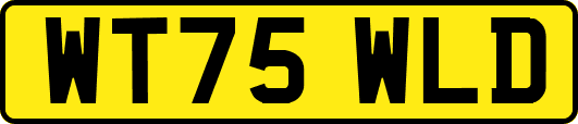 WT75WLD