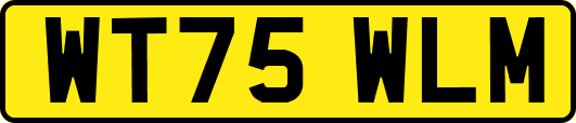 WT75WLM