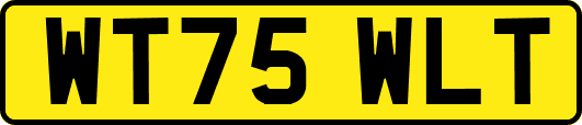 WT75WLT