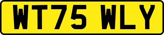 WT75WLY