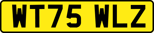 WT75WLZ