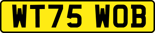 WT75WOB