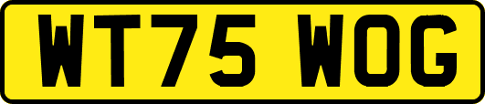 WT75WOG