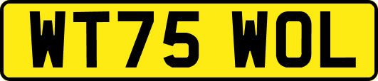 WT75WOL
