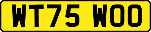 WT75WOO