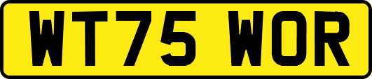 WT75WOR