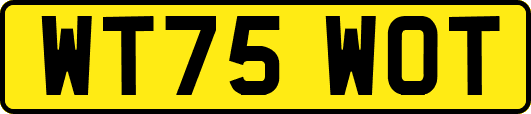 WT75WOT