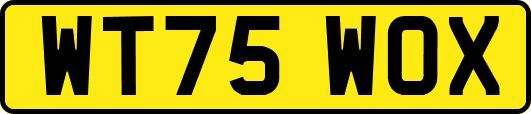 WT75WOX
