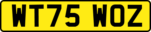 WT75WOZ