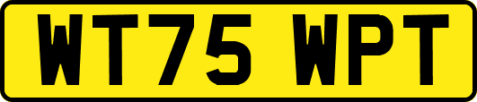 WT75WPT