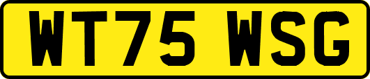 WT75WSG