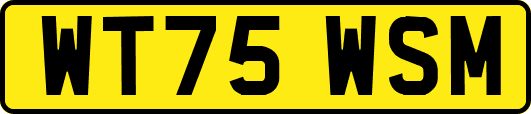 WT75WSM
