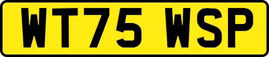 WT75WSP