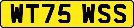WT75WSS