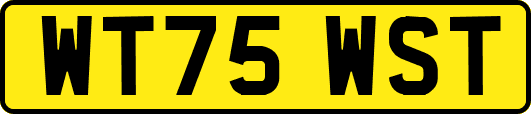WT75WST