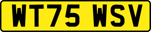 WT75WSV