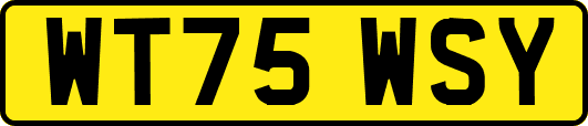 WT75WSY