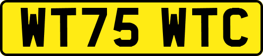 WT75WTC