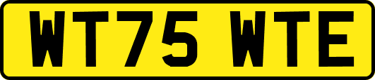 WT75WTE