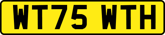 WT75WTH
