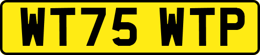 WT75WTP