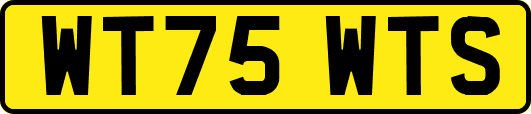WT75WTS