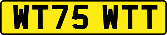 WT75WTT