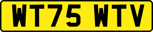 WT75WTV