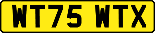 WT75WTX