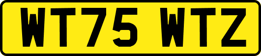 WT75WTZ