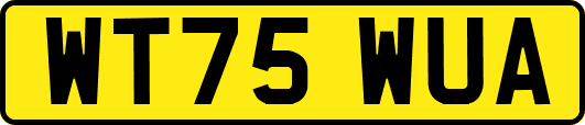 WT75WUA