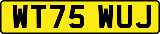 WT75WUJ