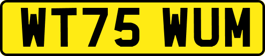 WT75WUM