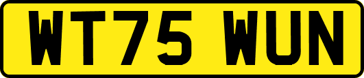 WT75WUN