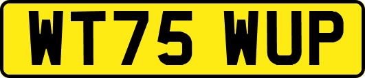 WT75WUP